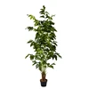 1.8m Fishtail Palm Modern Indoor Trees Cheap Artificial Greenery