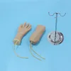 BIX-HS18 Medical Hand & Elbow Combined Intravenous Infusion Model