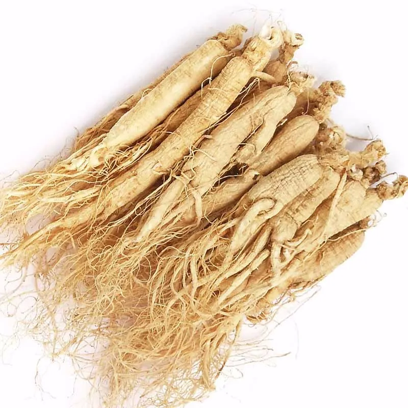 Ginseng, ginseng root in Changbai Mountain, View dried ginseng root ...