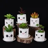 Corrosion Resistance Garden Cartoon Emoji Creative Ceramics Flower Pot