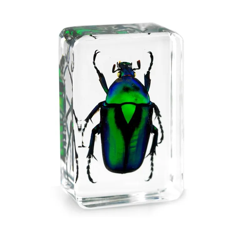 Green Rose Chafer Beetle Desktop Decorations