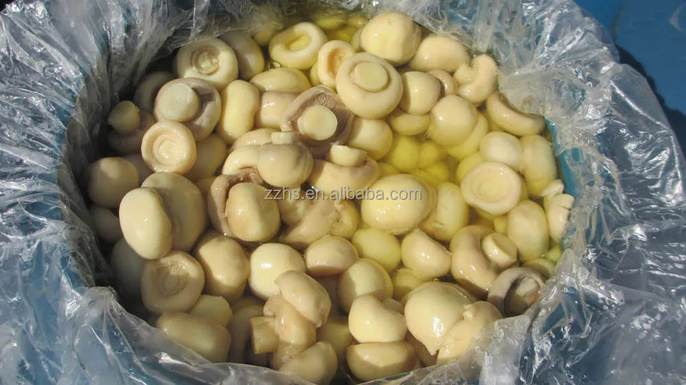 mushroom in drum_3603