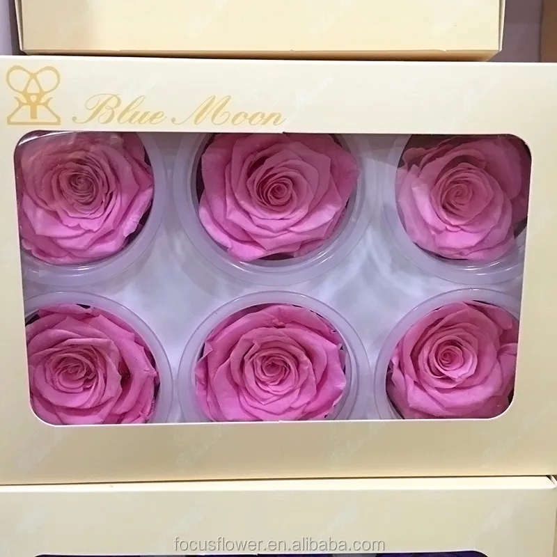 Preserved Flower (50)