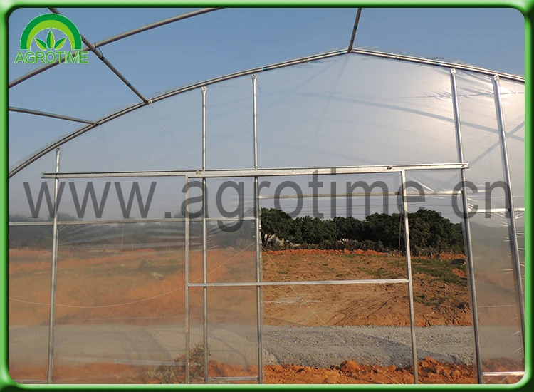 www green house com.jpg