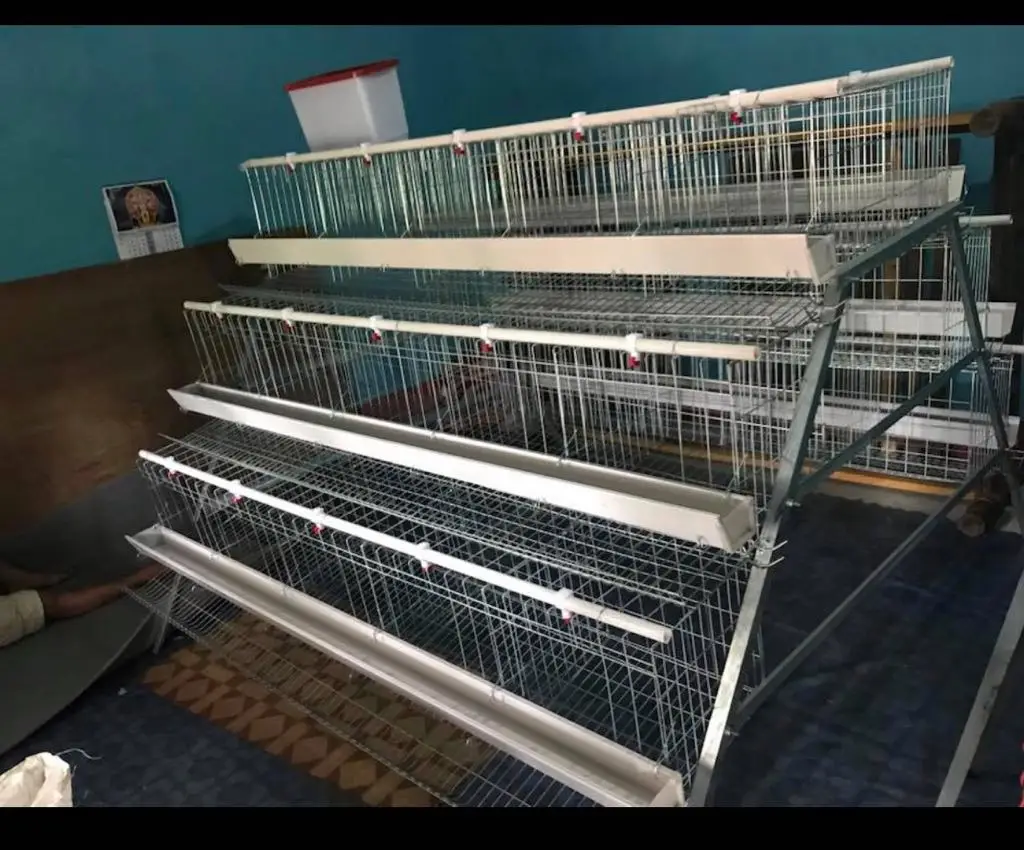 Poultry Farm Equipment Chicken Layer Cages For Sale With Free Design