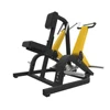 Dezhou Gym Equipment Back Extension/Row axd-730