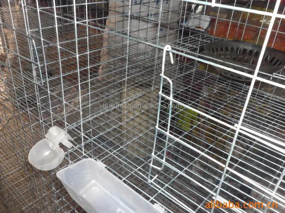 Racing Pigeon Trap Door Design