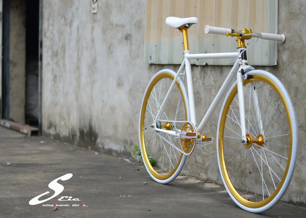 微笑元素台湾 odm 固定自行车