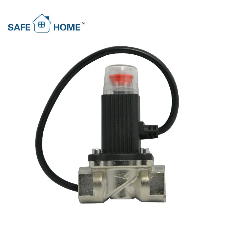 Electric Brass Lpg Gas Cylinder Control Valvelow Price 9v 12v Lpg Natural Gas Solenoid Safety 8961