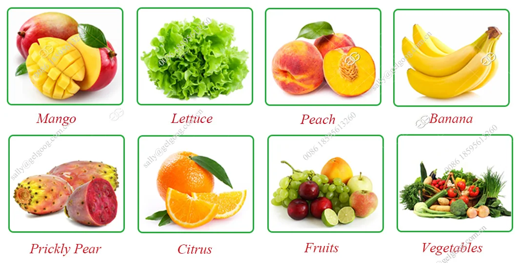Ozone Fruit And Vegetable Washer