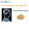 30% Purity DHA Algae Oil Omega 3 Powder for Memory Improved Cognitive Function
