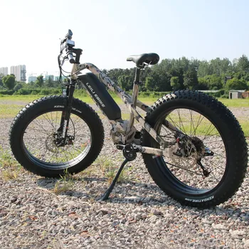 e raptor electric bike