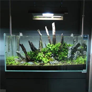 clear glass aquarium