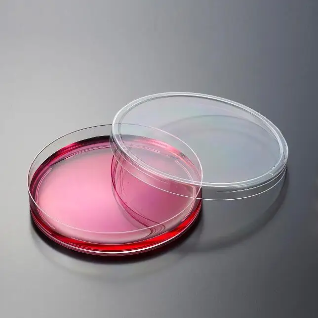 Plastic Petri Dish 90mm Disposable Petri Dishes Buy Square Petri Dish 9cm Petri Dishes Lab Petri Dishes Product On Alibaba Com