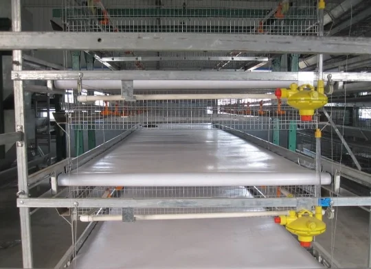 Poutry Manure Belt/conveyor Belt For Layer/broiler/chicken/battery ...
