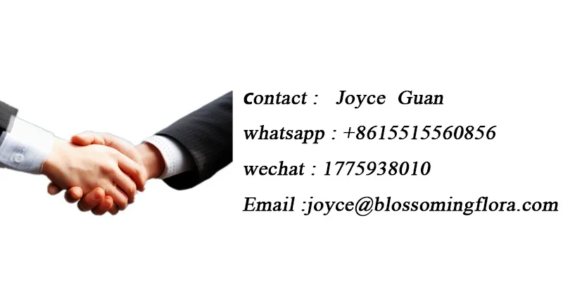 Contact us.jpg