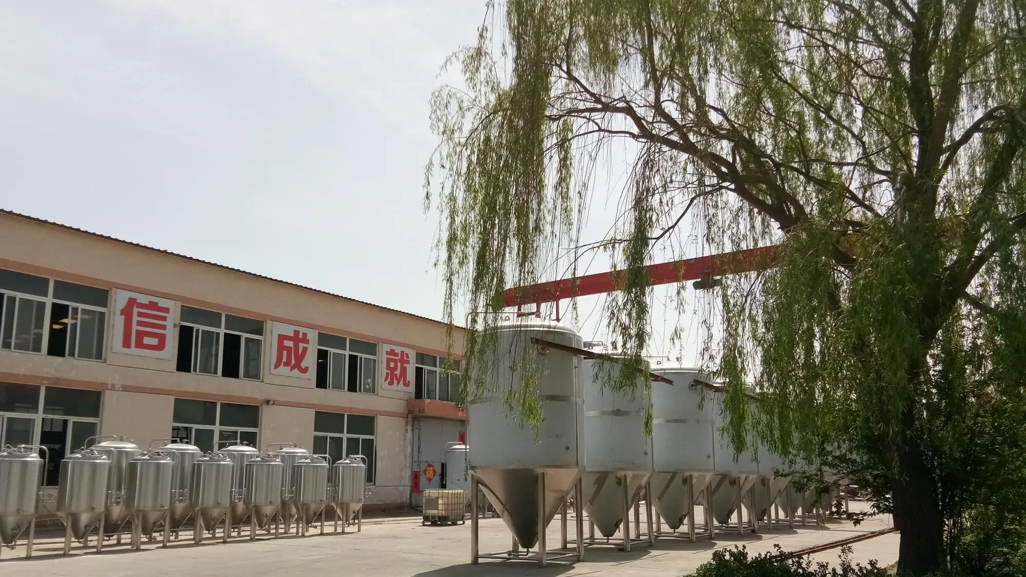 ZHET- 500L barley malt fermented equipment draft beer brewing equipment for sale