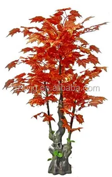 albero acero rosso vendita albero acero rosso vendita