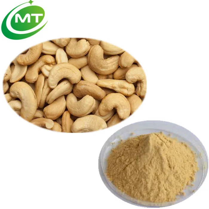 cashew nut powder