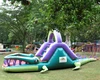 New design crocodile,alligator inflatable bouncer, inflatable jumping castle for sale