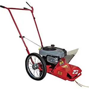briggs and stratton string trimmer