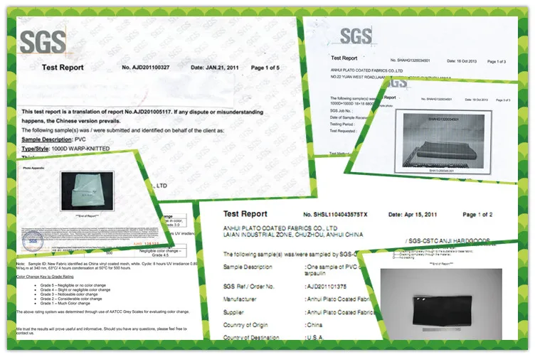 certification2.jpg