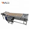 Factory price jalapeno pepper washer/chilli washing machine bubble washing machine