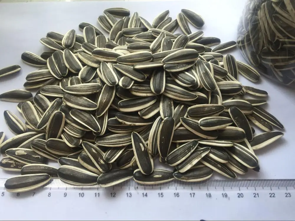 Bulk Sunflower Seeds China Buy Bulk Sunflower Seeds,Sunflower Seeds