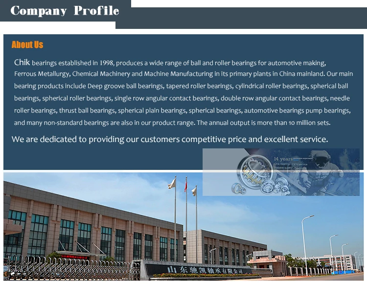 company profil 1