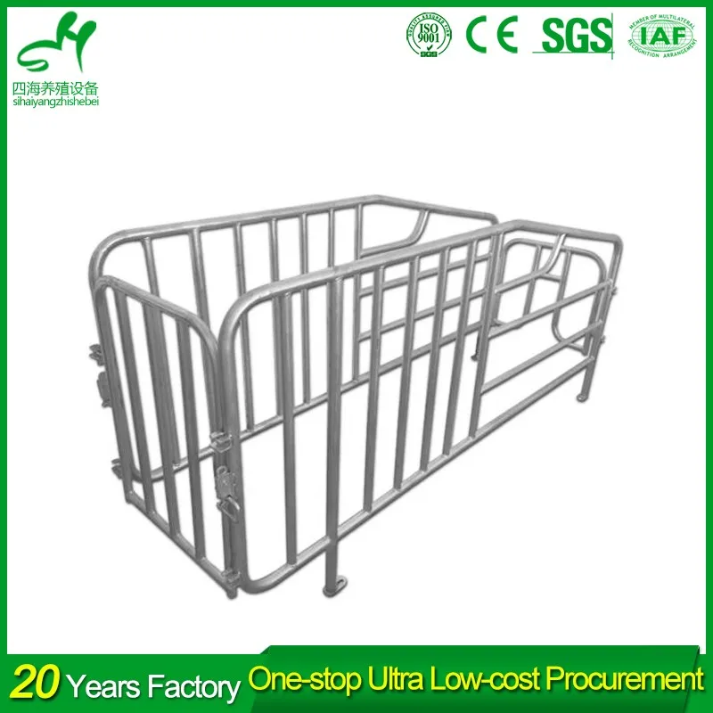 Piggery Equipment/sow Gestation Crates South Africa Buy Gestation Crates South Africa