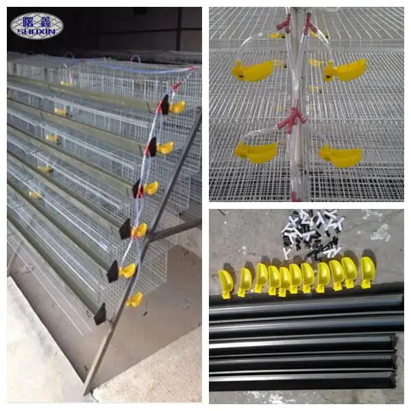 6 Tiers Poultry Farm Layer Quail Cage With Nipple Drinker Capacity 800