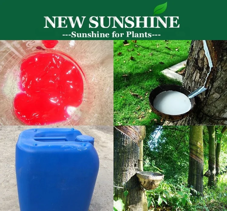 Ethephon 5%-Rubber tree.jpg