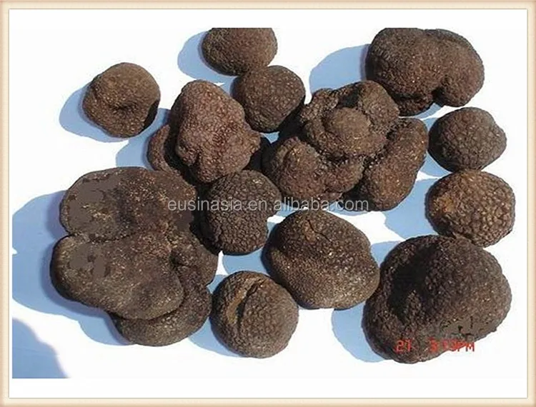 Fresh Frozen Whole Tuber Indicum Wild Truffle - Buy Whole Tuber Indicum ...