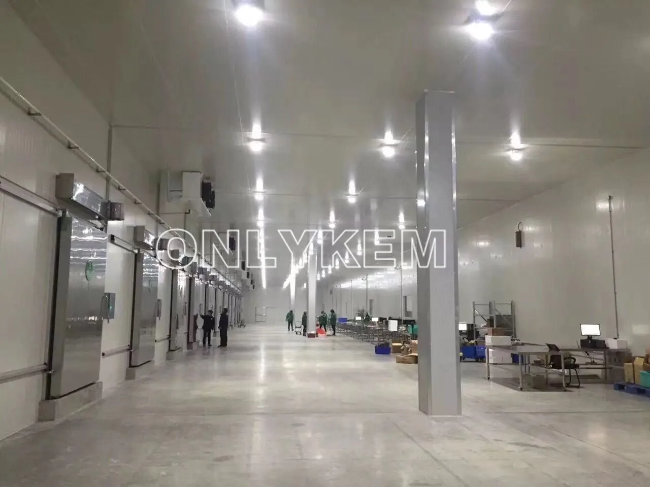 cold storage for onion