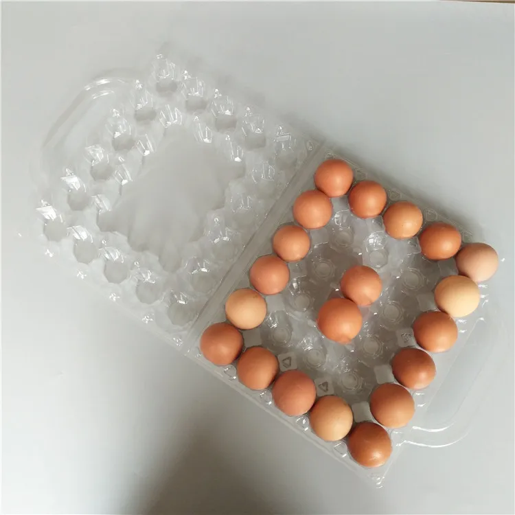 Clamshell kemasan ayam peti reusable telur karton