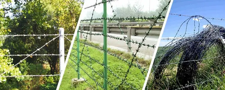 barbed wire 2