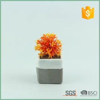 Mini Modern Square Indoor Gray Succulent Cactus Plant Pots Mini Modern Square Indoor Gray Succulent Cactus Plant Pots