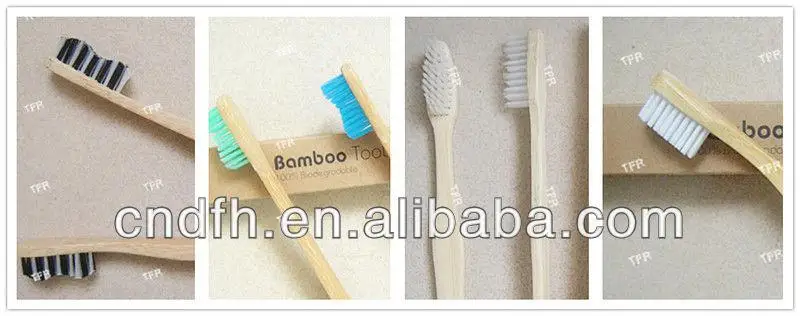 bristle option.jpg