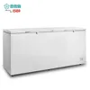 /product-detail/bd-1000-single-temperature-freezer-1000l-double-top-open-door-big-capacity-chest-freezer-cb-ce-ccc-iso-60104794837.html