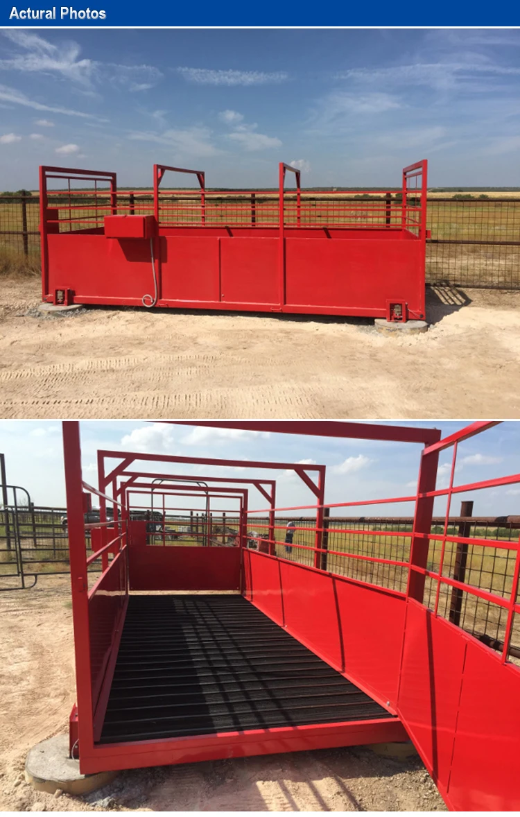 1 Ton 2 Ton Livestock Electronic Weighing Scales Calibration For