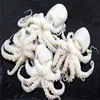 1-1.5kg OCTOPUS Flower Shape Flower ball