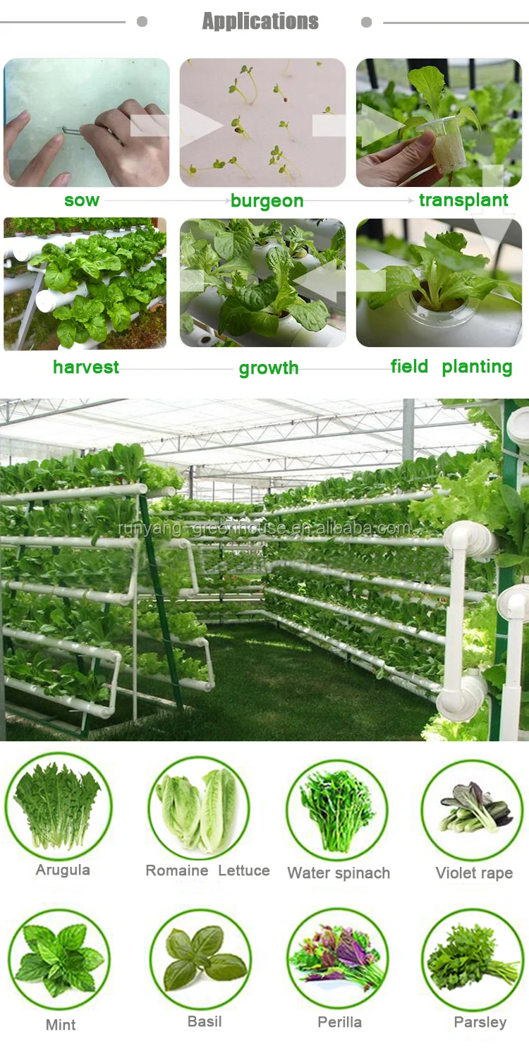 Commercial Hydroponic Growing Systems Aquaponics Systems