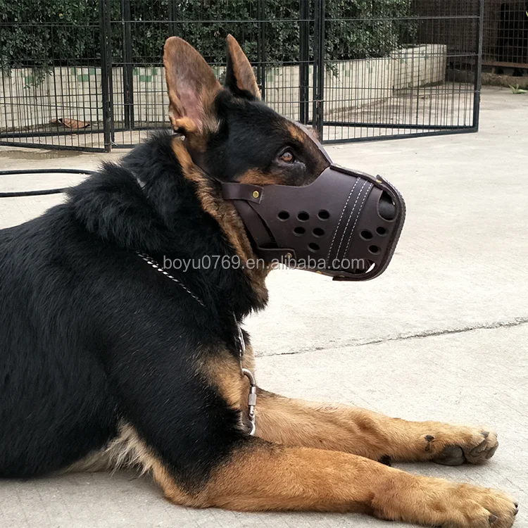 dog muzzle for belgian malinois