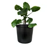 Hot selling items tall plastic gallon pots new technology product in china