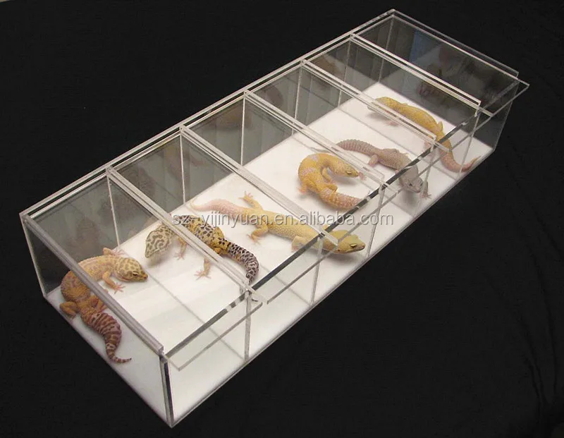 Acrylic Reptile Display Case Geckos Snakes Rack With Buy
