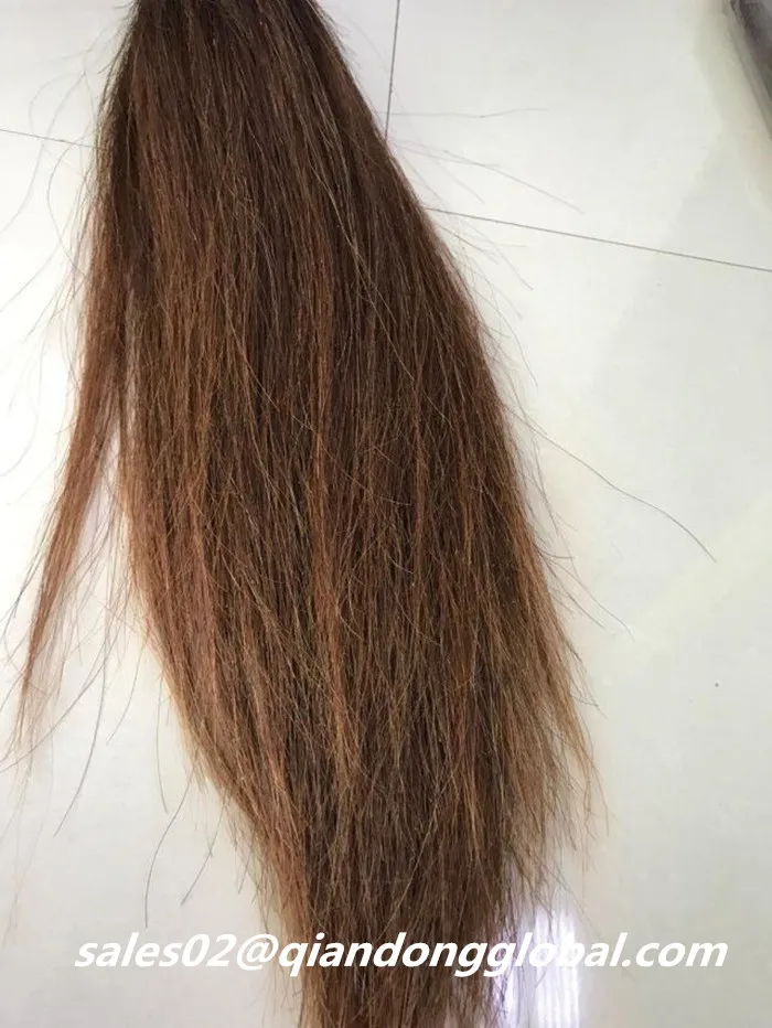 brown false horse tail hair