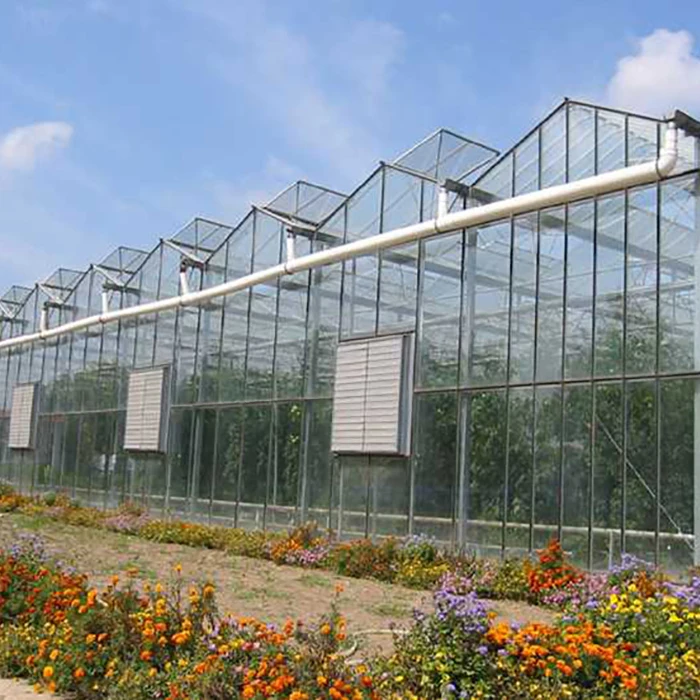 High Toughened Glass Greenhouse For Horticulture - Buy Toughened Glass