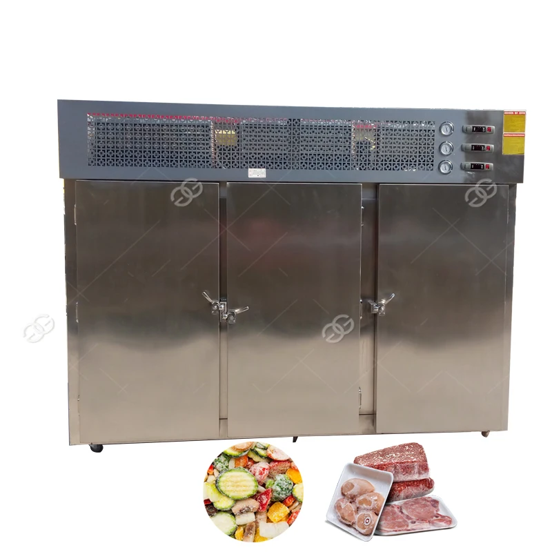 Commercial 20 Feet Small Deep Freezer Container Fish Meat Freezer Buy Meat Freezer,Fish