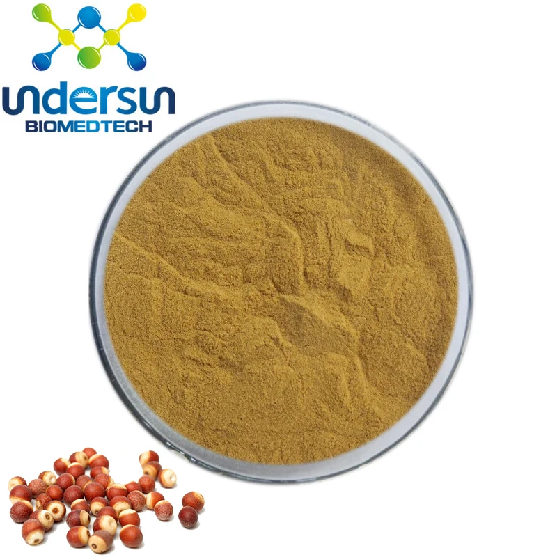 Factory Price 100 Natural Gordon Euryale Seed Extract Semen Euryales P