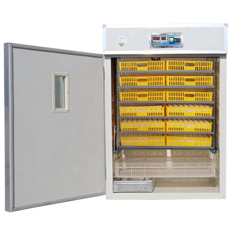 Wq1056 Solar Power Cheap Price Capacity 1000 Chicken Eggs Incubator
